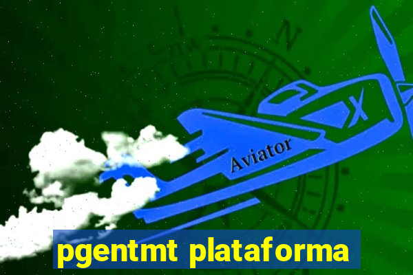 pgentmt plataforma